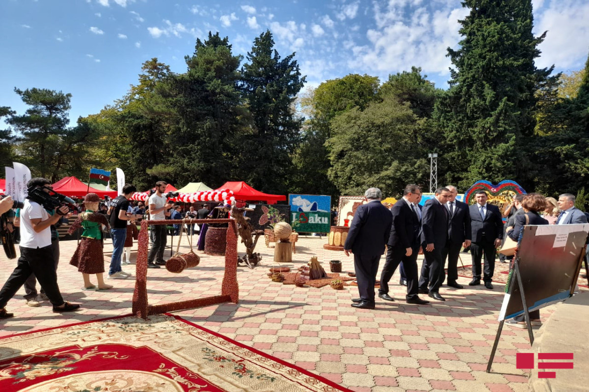 В Загатальском районе проведена ярмарка «Выставка-продажа фундука-2022»-ФОТО 