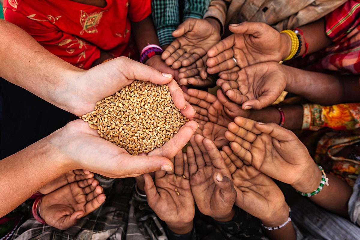 ООН: Мир рискует столкнуться с нехваткой продовольствия в 2023 году