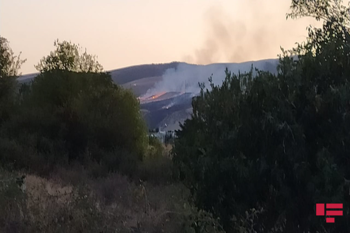 Armenians set fire to mountain forest massif in Karabakh-PHOTO 
