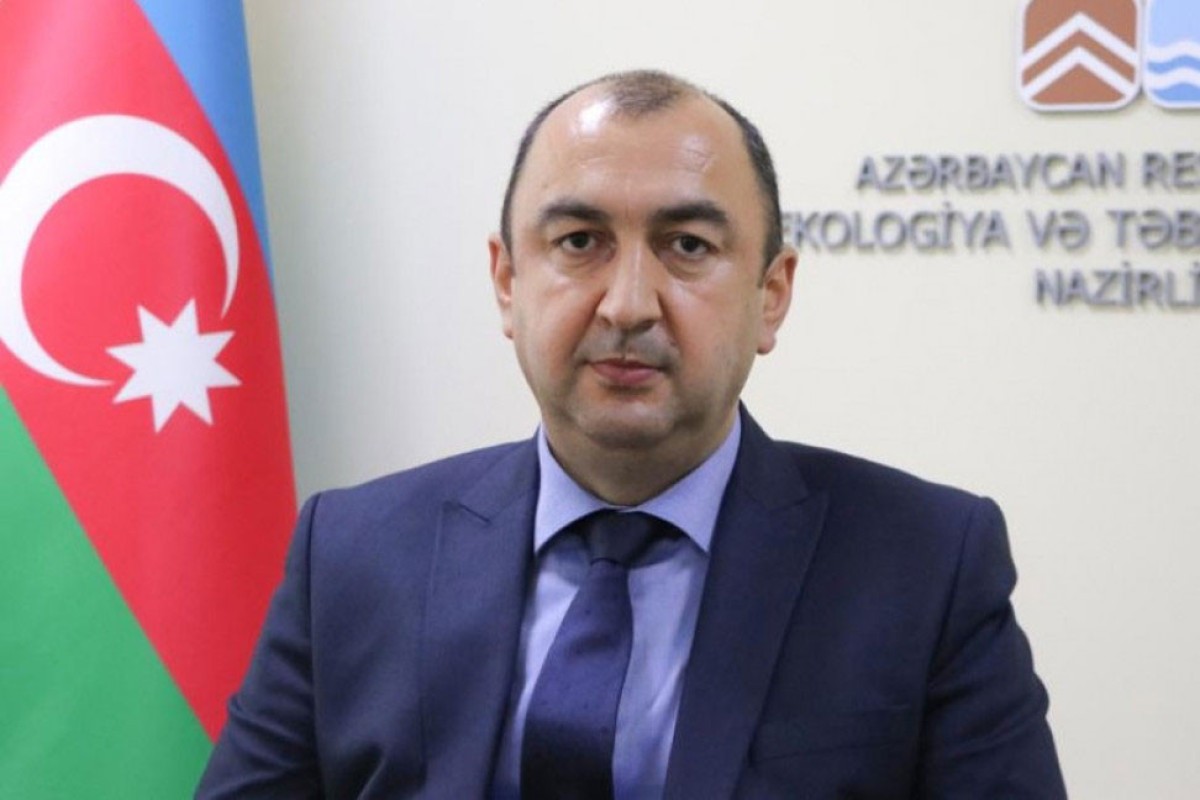 Deputy Minister of Ecology and Natural Resources Vugar Karimov