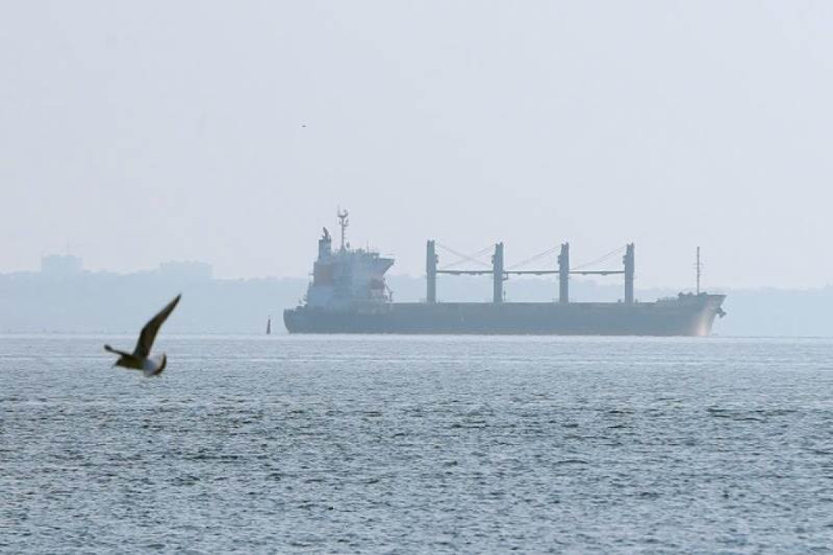 2 more grain ships depart Ukraine on Saturday