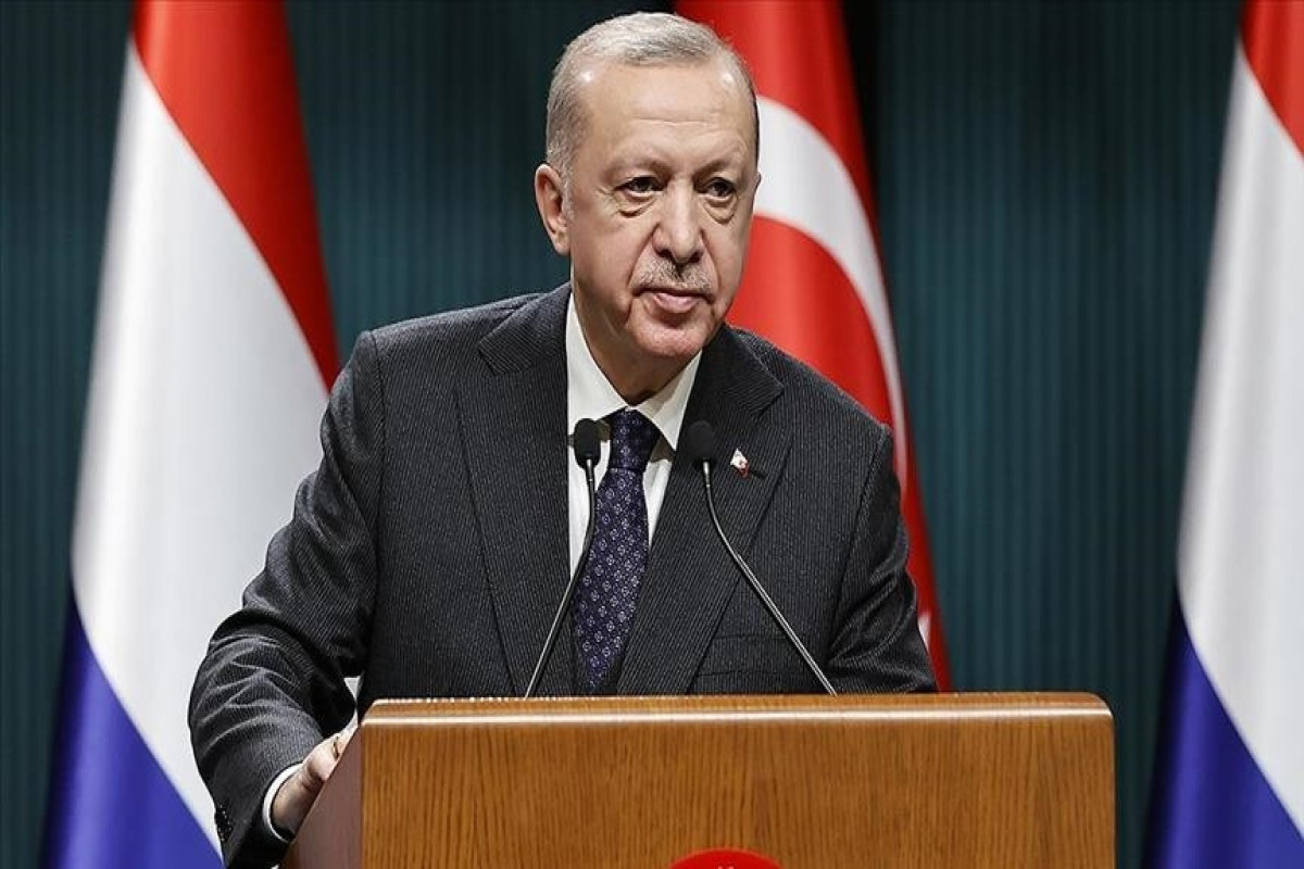 Эрдоган: Турция продолжит дипломатические усилия по урегулированию кризиса на Украине