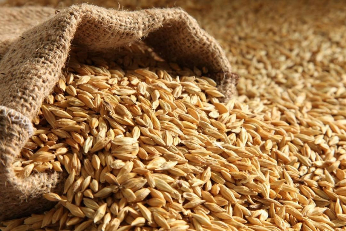 Азербайджан сократил производство пшеницы