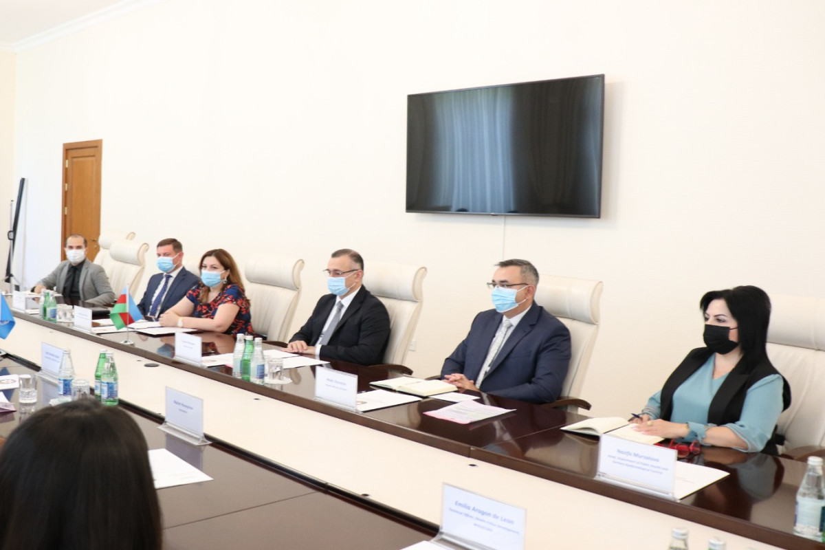 WHO organizes expert mission to Azerbaijan