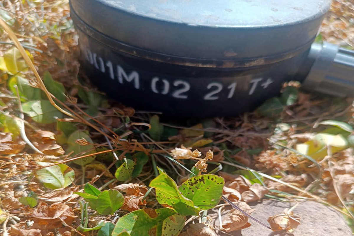 Azerbaijan's MoD neutralized another 100 landmines in Lachin buried by Armenians-PHOTO 