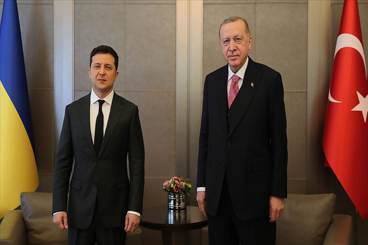 Erdogan, Zelenskyy held phone conversation