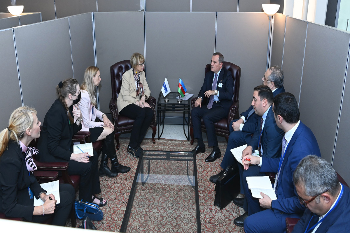 Обсуждены вопросы сотрудничества между Азербайджаном и ОБСЕ-ФОТО 
