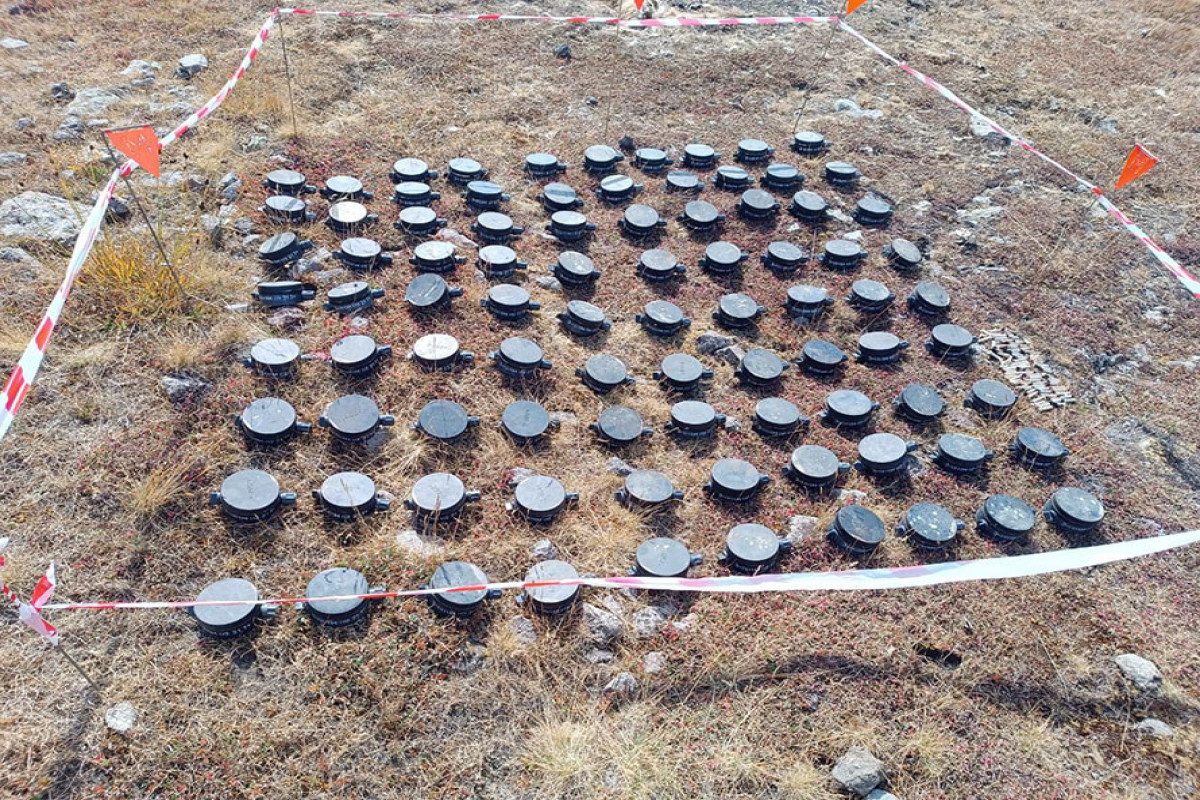 MN: Erməni təxribatı zamanı Laçında basdırılan növbəti 90 mina zərərsizləşdirilib - FOTO 