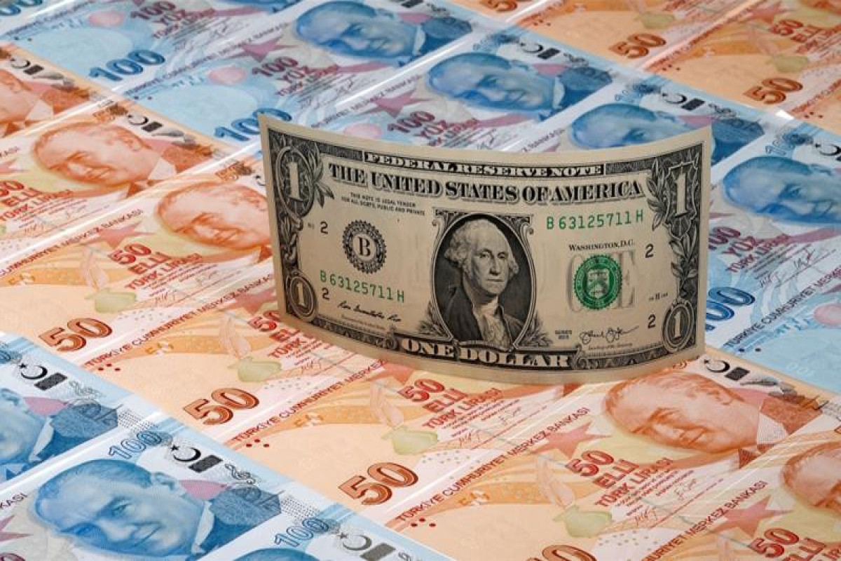 Dollar/TL məzənnəsində yeni rekord qeydə alınıb