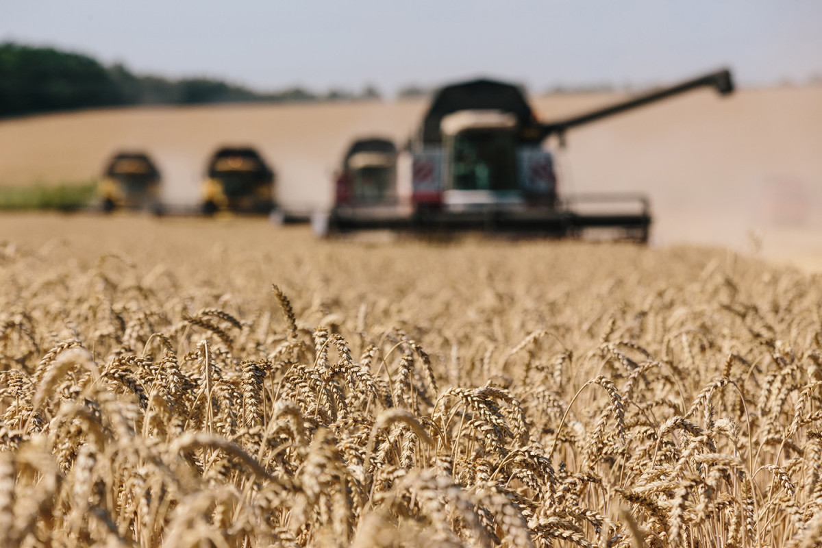 Украина поставит Эфиопии и Сомали 50 тыс тонн зерна в качестве гумпомощи