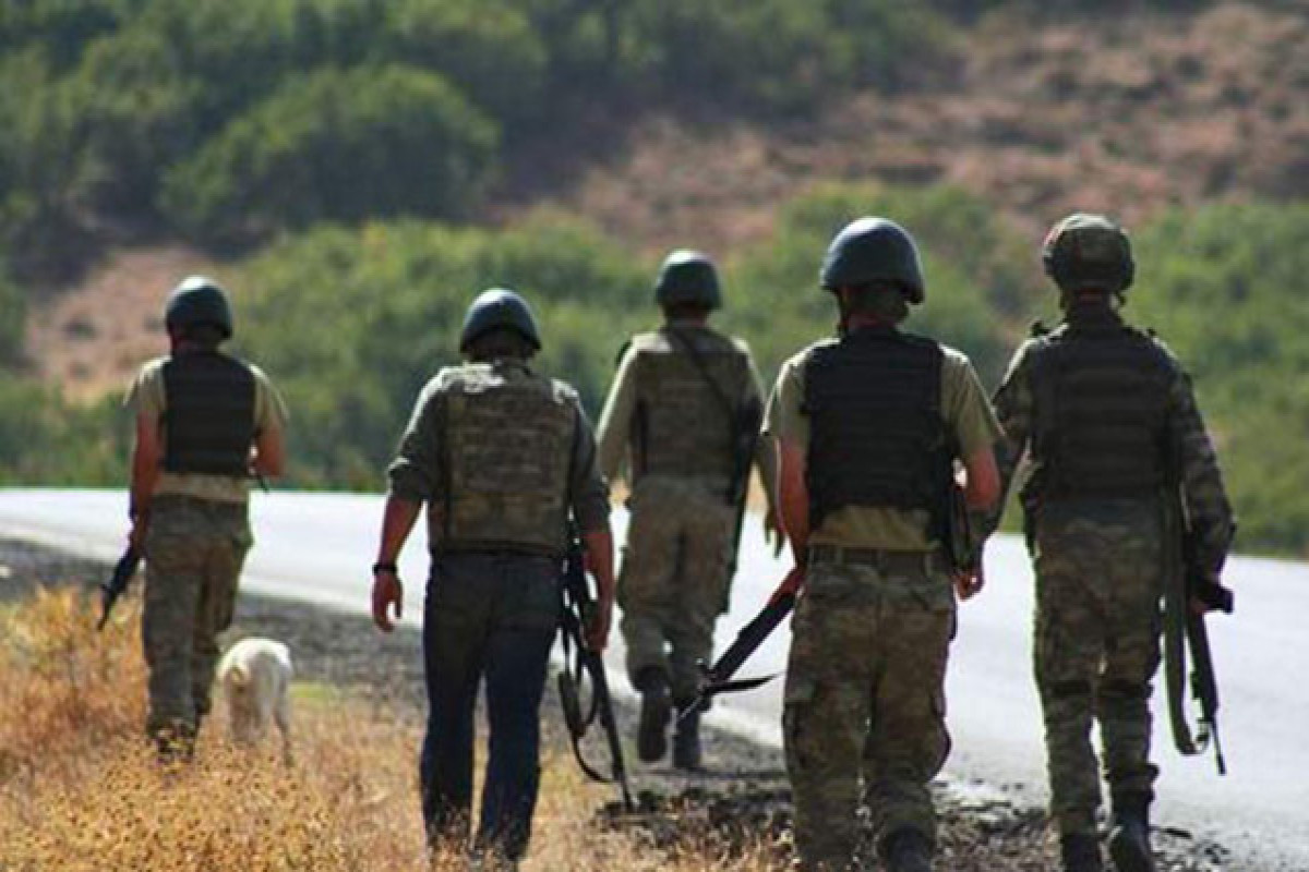 Вооруженные Силы Турции обезвредили 14 террористов в Сирии