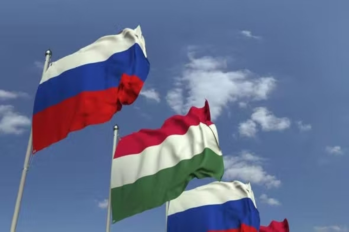 Russia, Hungary discuss economic, energy cooperation