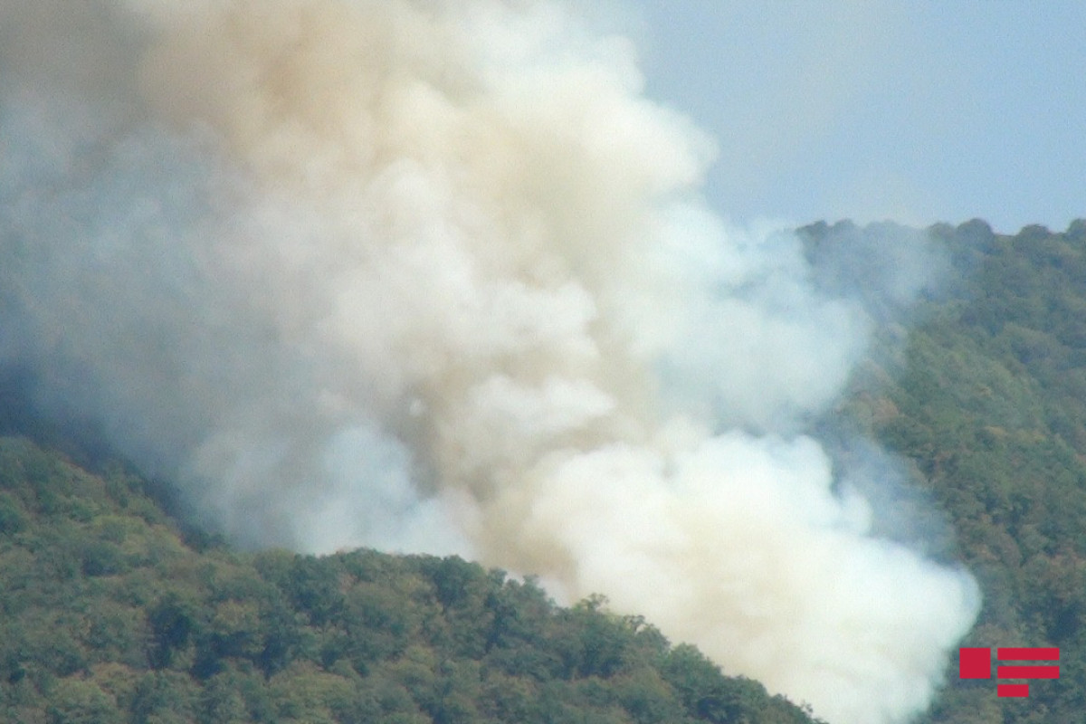 Пожар в горно-лесистой местности в Хызы потушен -ОБНОВЛЕНО-3 