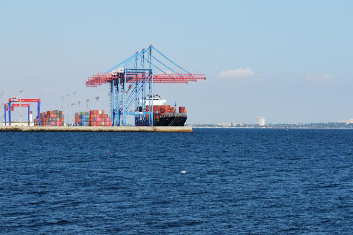 Daha 12 taxıl yüklü gəmi Ukrayna limanlarından yola düşüb