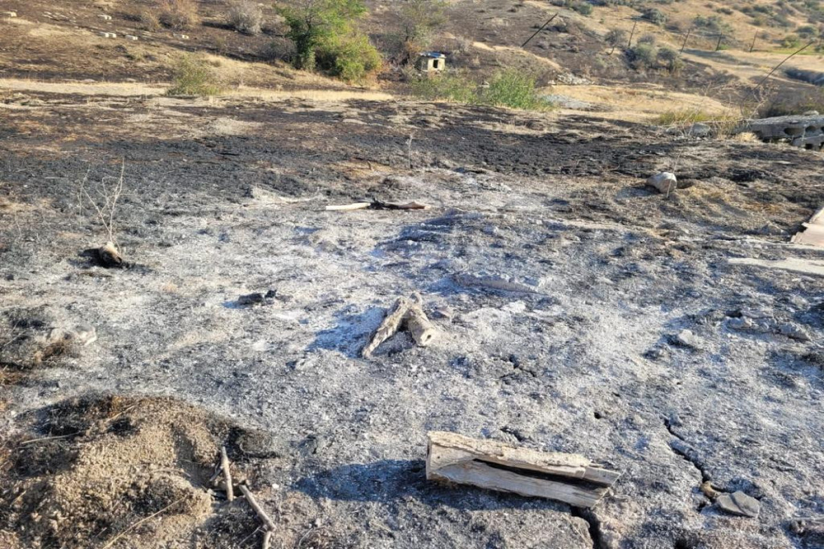 Пожар, перекинувшийся на Алтыагаджский национальный парк, мог начаться  из-за разведенного костра -СОВМЕСТНОЕ СООБЩЕНИЕ 