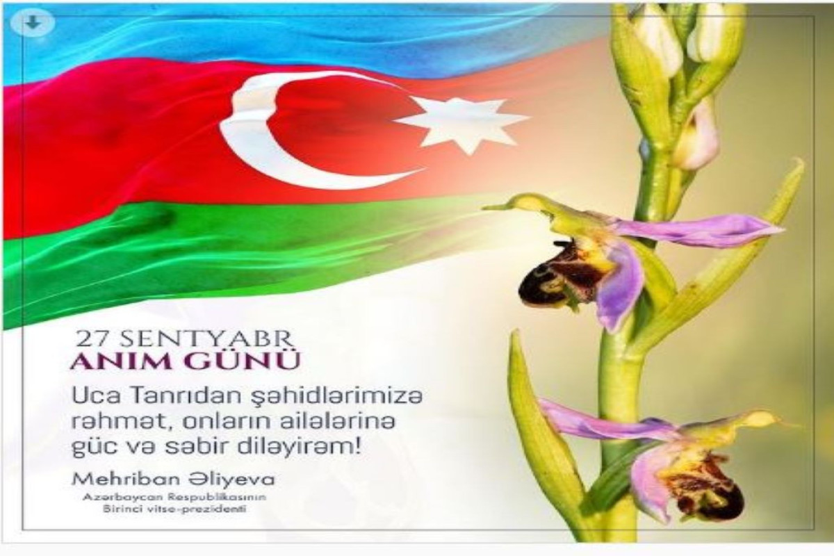 Мехрибан Алиева поделилась публикацией по случаю Дня памяти