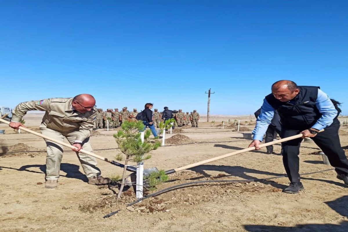 More than 1,000 trees planted on Day of Remembrance