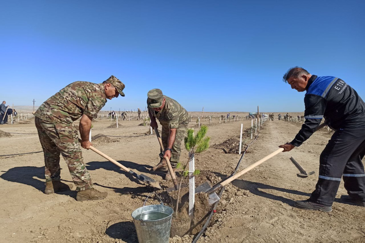 More than 1,000 trees planted on Day of Remembrance