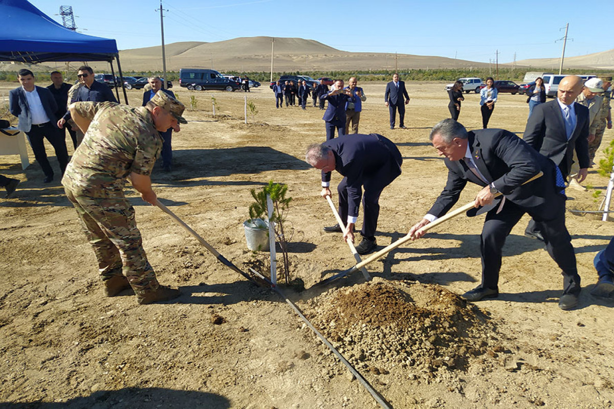 A tree-planting campaign was held on the occasion of the Remembrance Day