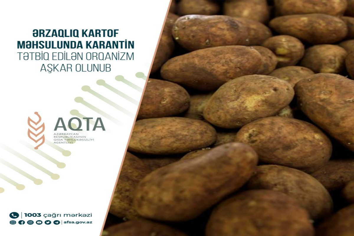 В 45 тоннах картофеля, ввезенного в Азербайджан из Грузии и РФ, обнаружена гниль