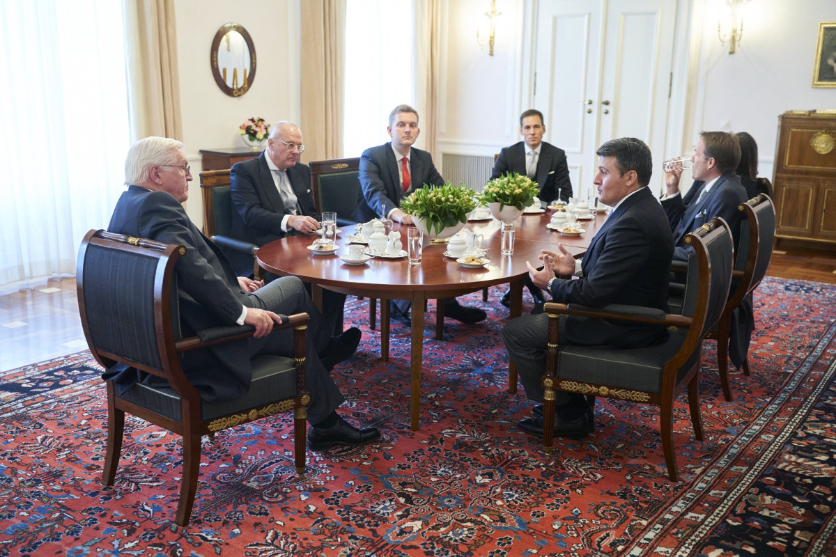 Посол Азербайджана вручил верительные грамоты  президенту Германии-ФОТО 