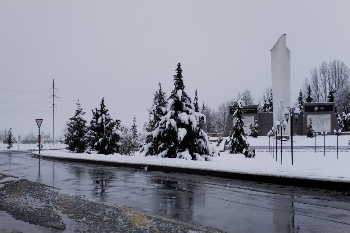В Габалинском районе выпал сильный снег-ФОТО 