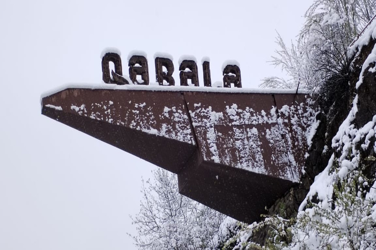 В Габалинском районе выпал сильный снег-ФОТО 