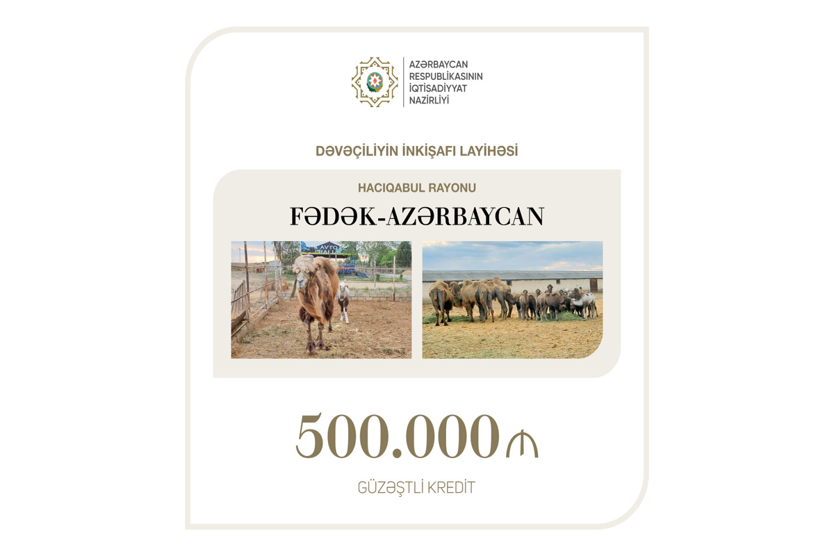 Dəvəçiliyin inkişafı üçün yarım milyon manat kredit ayrılıb