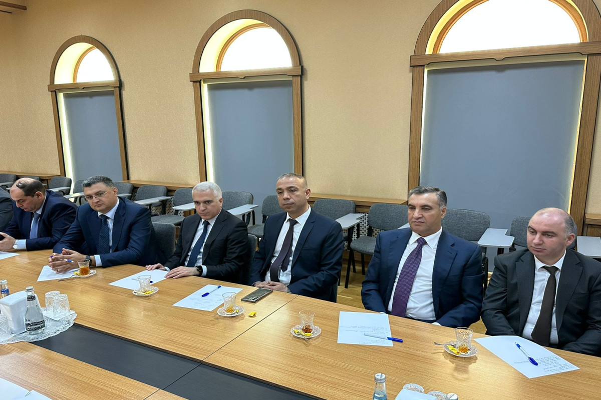 Energetika nazirinin müavini Naxçıvana səfər edib - FOTO 