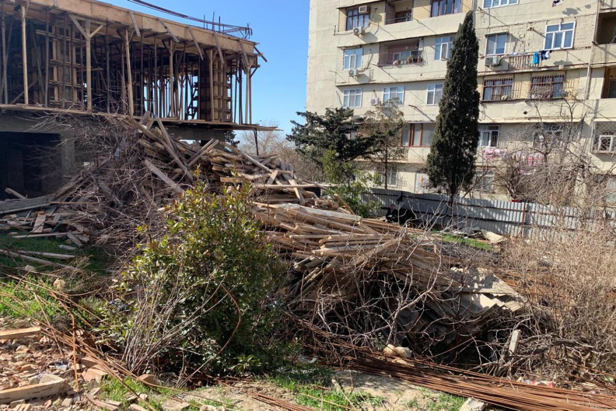 Qanunsuz ağac kəsilməsi ilə bağlı sənədlər Prokurorluğa göndərilib