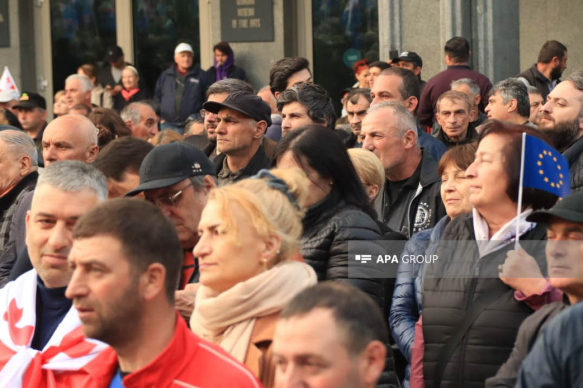 Gürcüstanda "Vahid Milli Hərəkat" partiyası parlament binası qarşısında aksiya keçirir - FOTO 