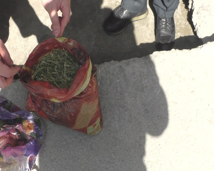 İran vətəndaşından onlayn yolla narkotik alan ağdaşlılar saxlanılıb - FOTO 