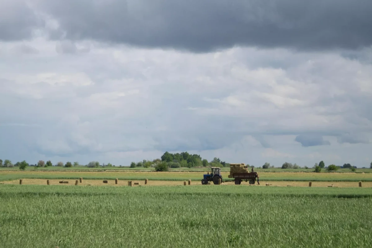 Netherlands allocates $44mln to support Ukrainian farmers