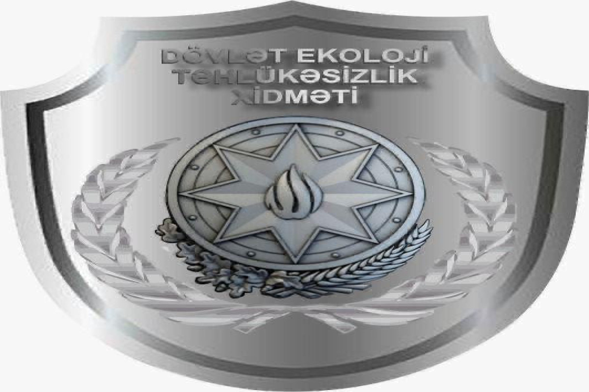 Ağacların qanunsuz kəsilməsi ilə bağlı sənədlər Prokurorluğa göndərilib