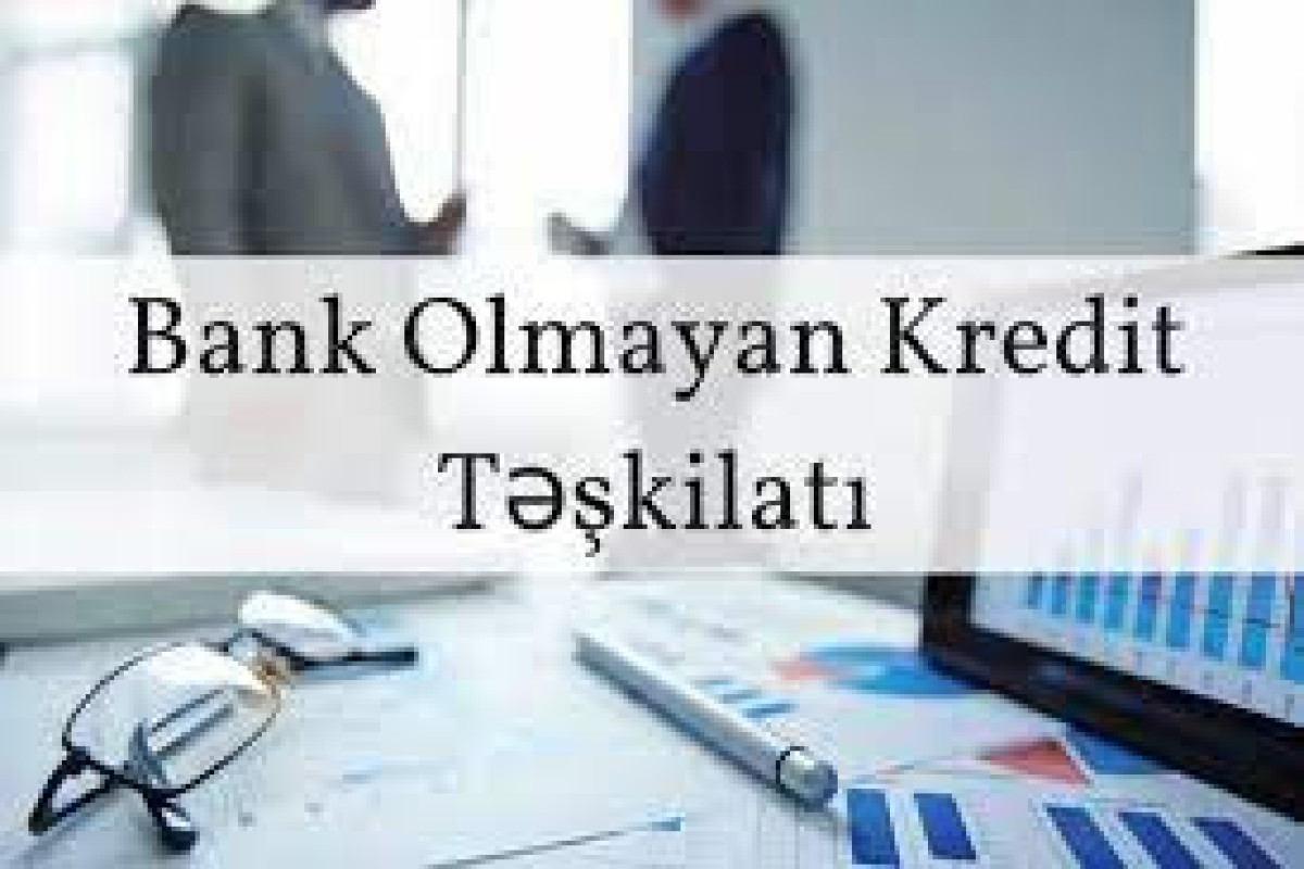 Azərbaycanda Norveçə məxsus kredit təşkilatının hesabatı açıqlanıb