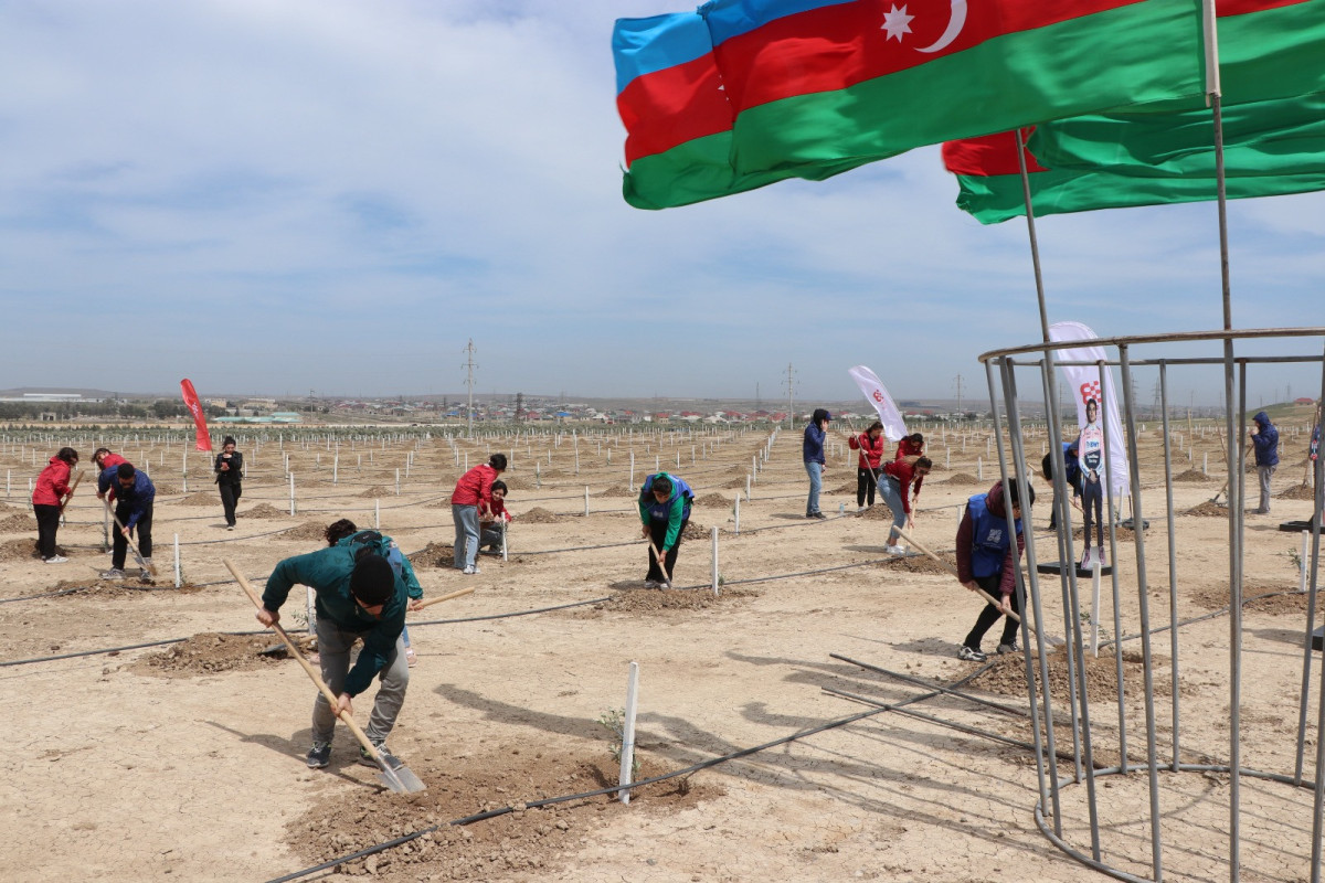 Ulu Öndər Heydər Əliyevin 100 illik yubileyi ilə əlaqədar növbəti ağacəkmə tədbirləri keçirilib - FOTO 
