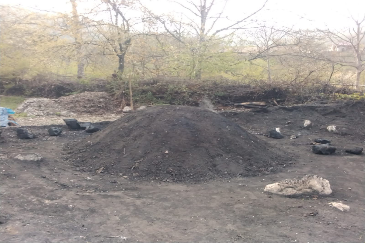 Göygöl və Qubada kömür istehsal edilən 2 quyu aşkarlanıb