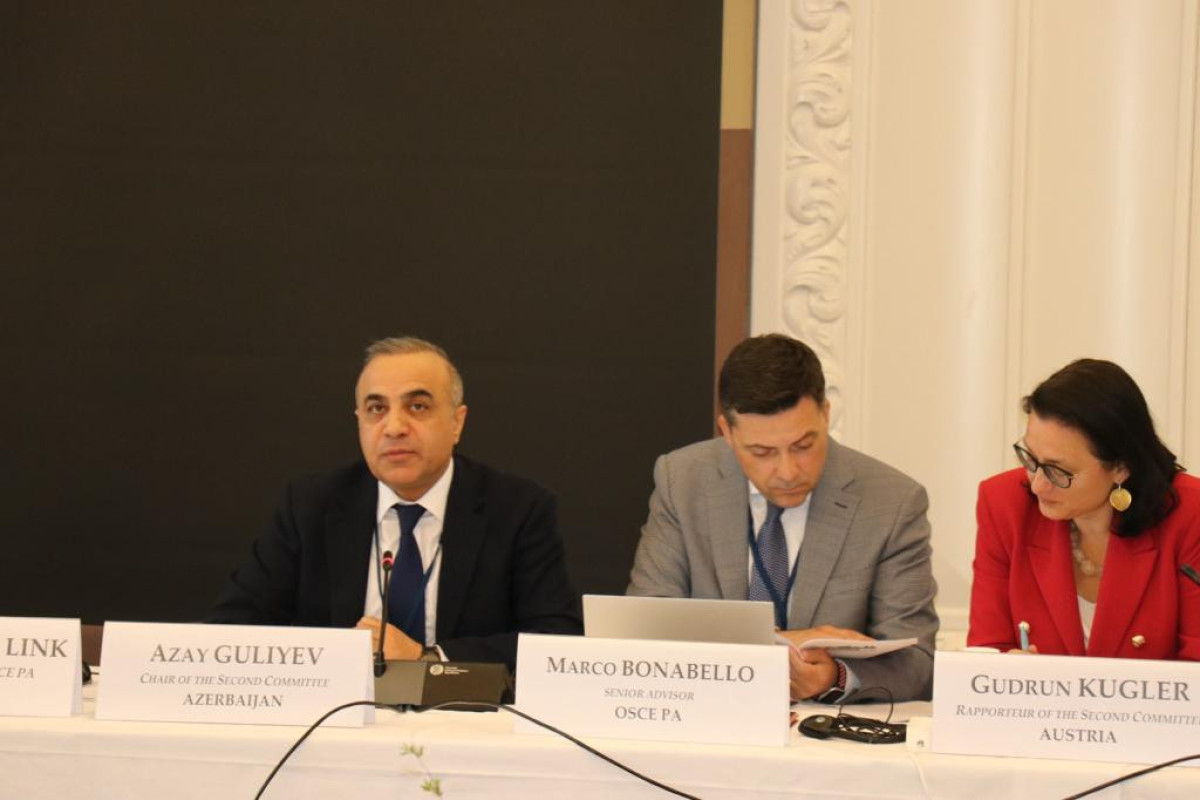Azay Quliyev ATƏT PA-da Laçın sərhəd-buraxılışı məntəqəsinin zəruriliyi haqqında məlumat verib