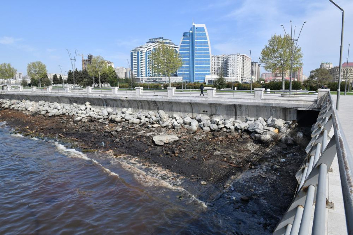 Dövlət Dəniz və Liman Agentliyi “Xəzəri qoruyaq” adlı ekoloji aksiya keçirib - FOTO 
