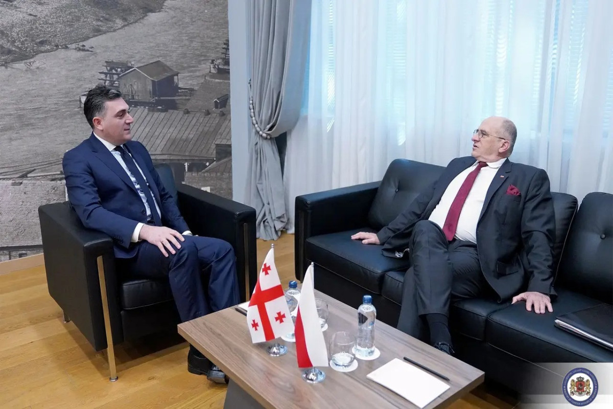 Polşa XİN başçısı gürcüstanlı həmkarı ilə Saakaşvilinin vəziyyətini müzakirə edib