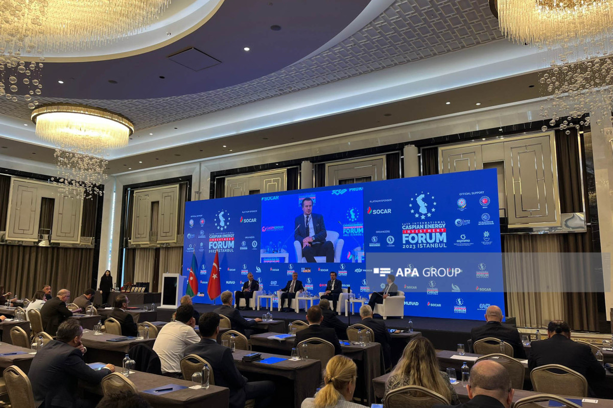 İstanbulda 14-cü “İnternational Caspian Energy İnvestment Forum”u keçirilib  - FOTO 