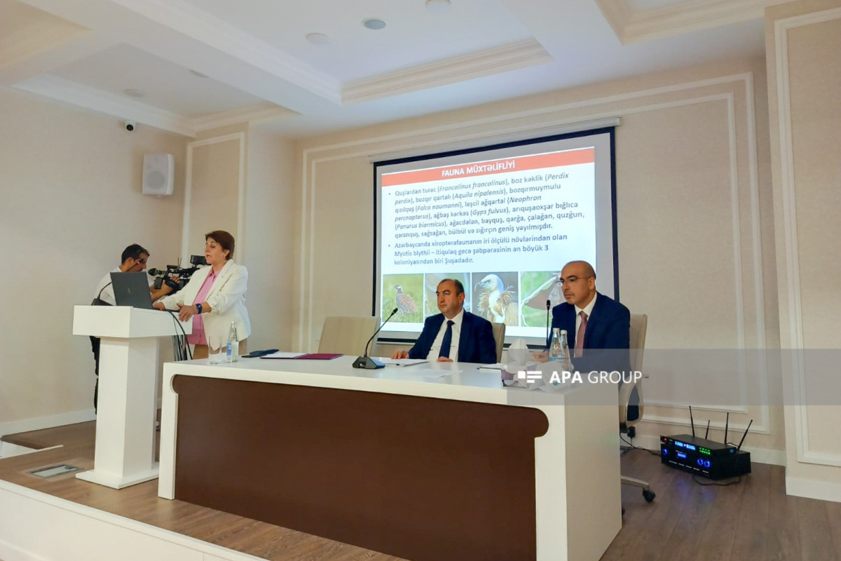 AMEA: Şuşadakı su nümunələri analiz olunub, içməyə yararlı olduğu qənaətinə gəlinib