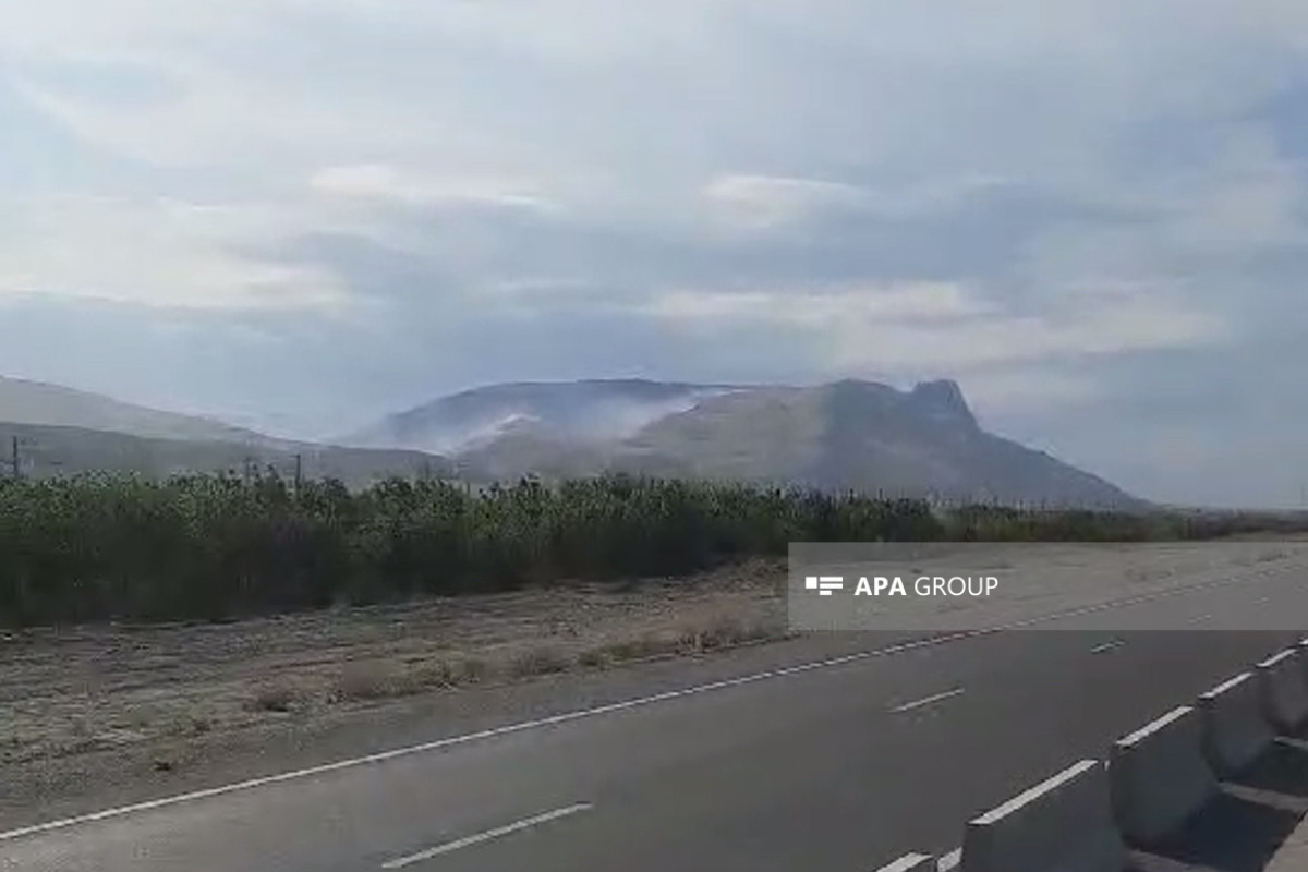 Siyəzəndə dağlıq ərazidə başlayan yanğın söndürülüb