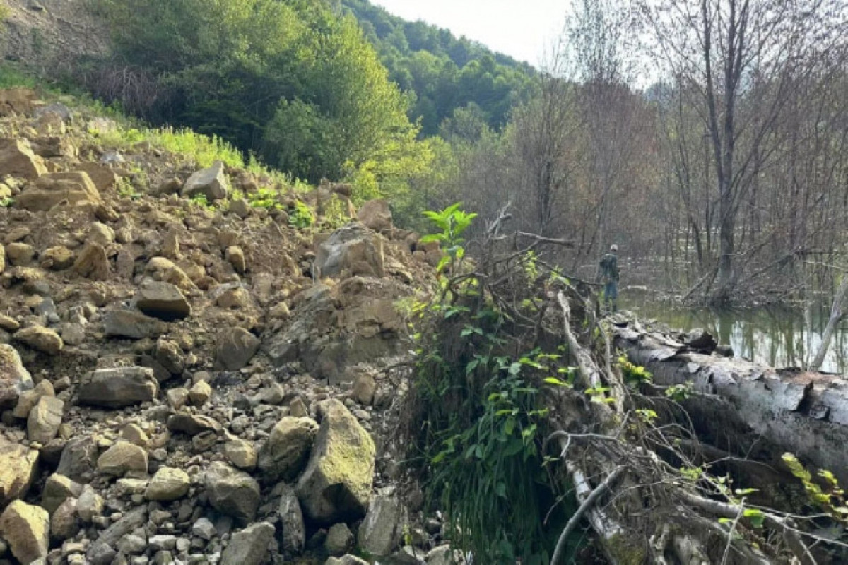 Gürcüstanda daha bir torpaq sürüşməsi baş verib