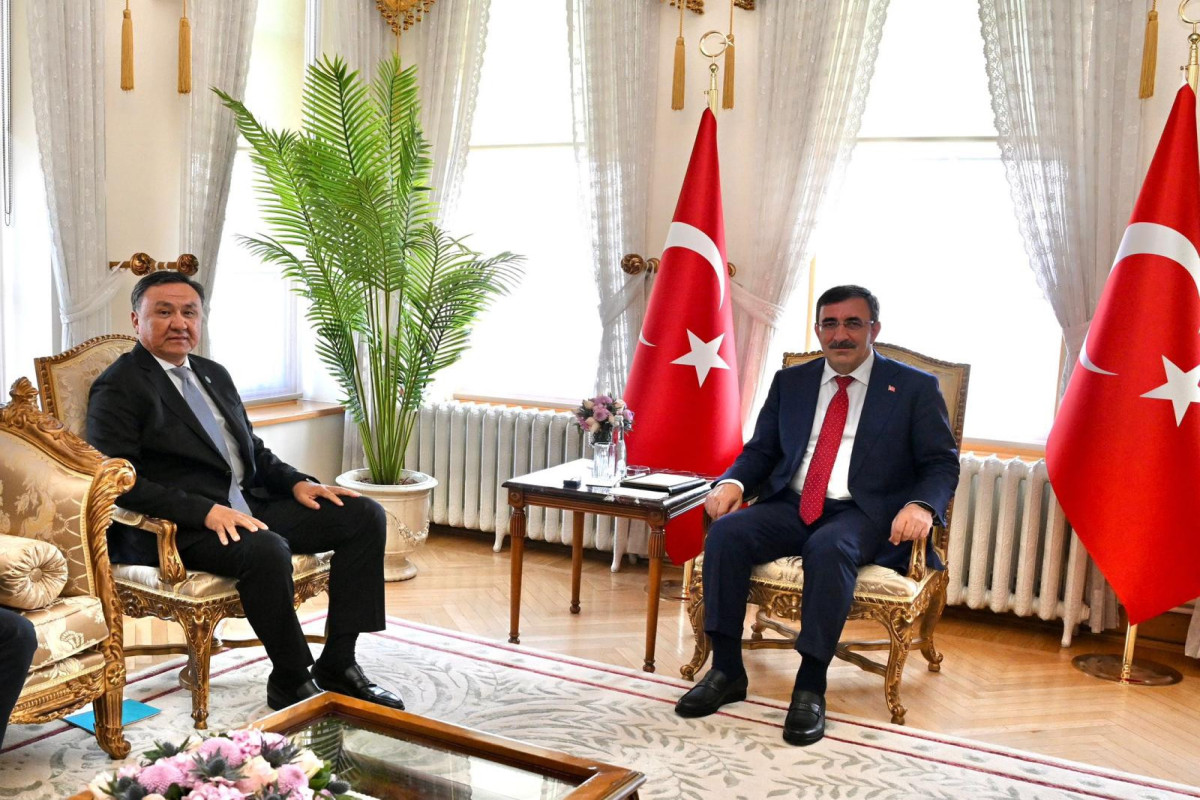 TDT-nin Baş katibi Türkiyənin vitse-prezidenti ilə görüşüb