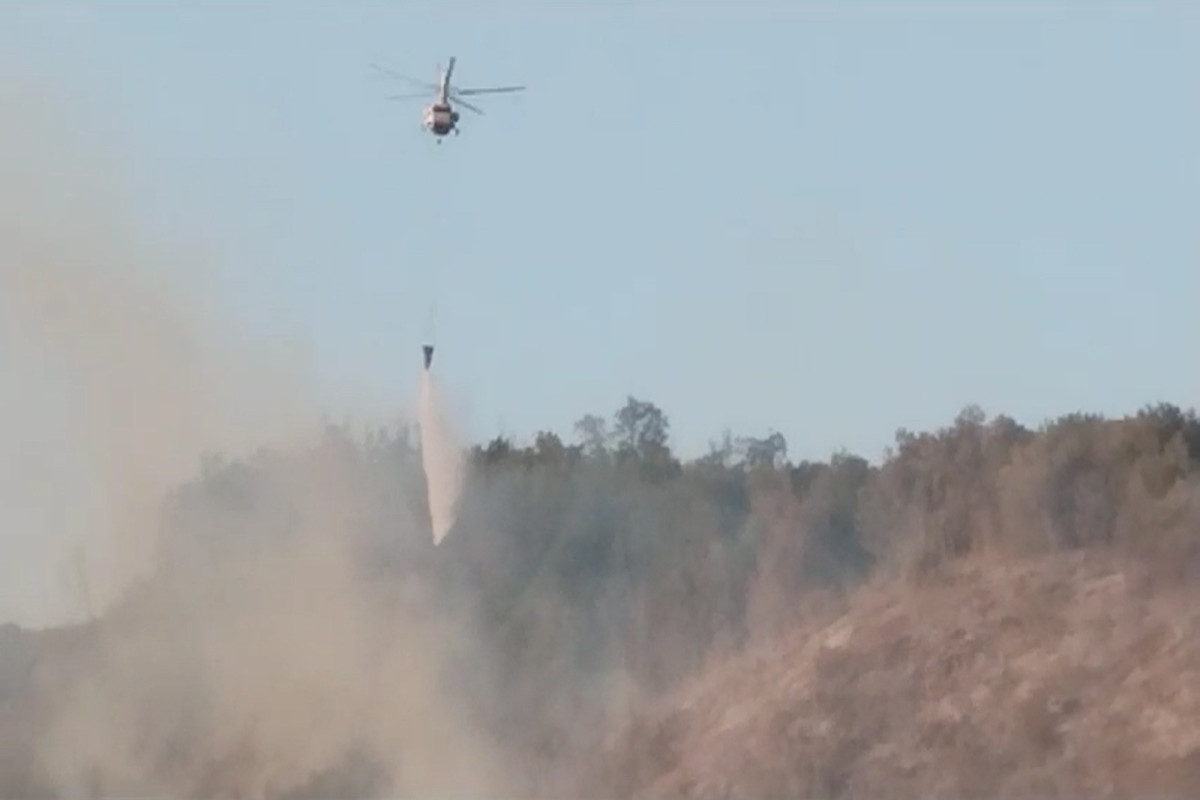 Qəbələdə dağlıq ərazidə yanğın başlayıb, helikopter cəlb olunub - YENİLƏNİB  - FOTO  - VİDEO 