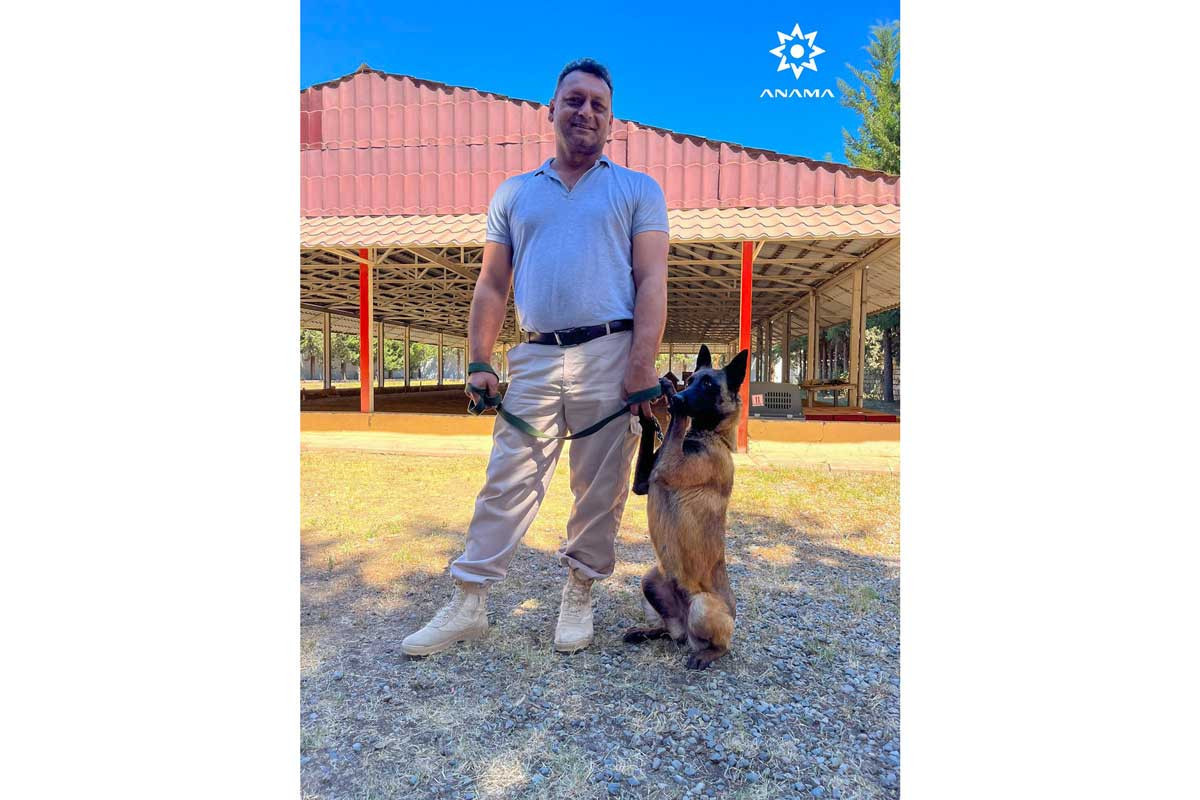 Azerbaijan brought 6 more mine detection dogs from Marshall Legacy Institute