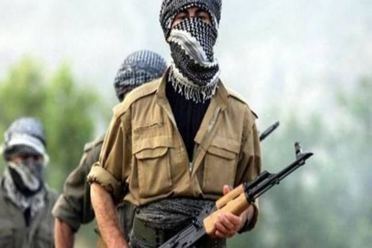 İki PKK terrorçusu Türk ordusuna təslim olub