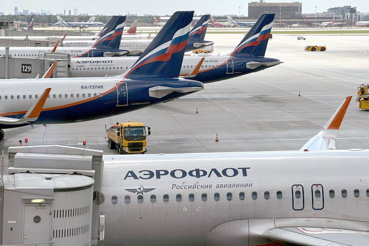 Moscow’s Domodedovo, Vnukovo airports suspend flight arrivals, departures