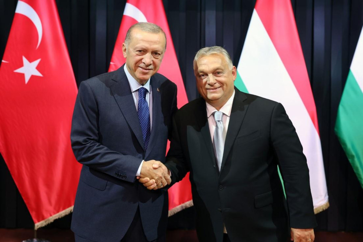 Ərdoğan Macarıstana səfər edib, Orbanla görüşüb